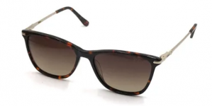 Óculos De Sol Solar Obest Feminino Gatinho Acetato B212 - Shopping OI BH 